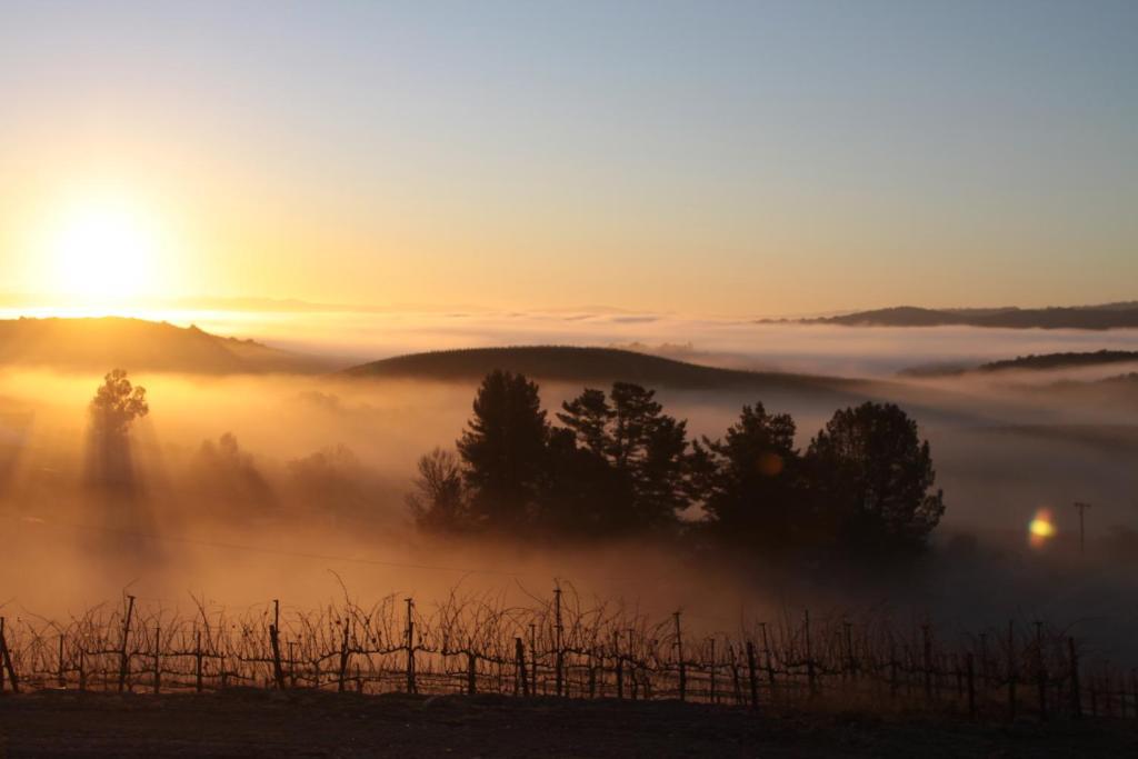 Croad Vineyards - The Inn Темпълтън Екстериор снимка